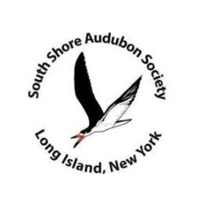 south shore audubon logo 2