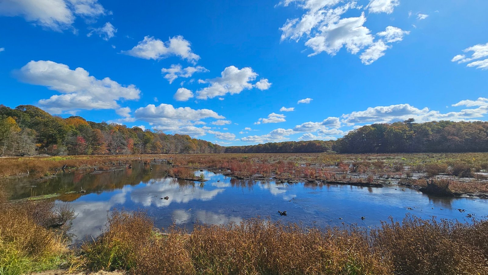 the nissequogue river on a sunny fall day
