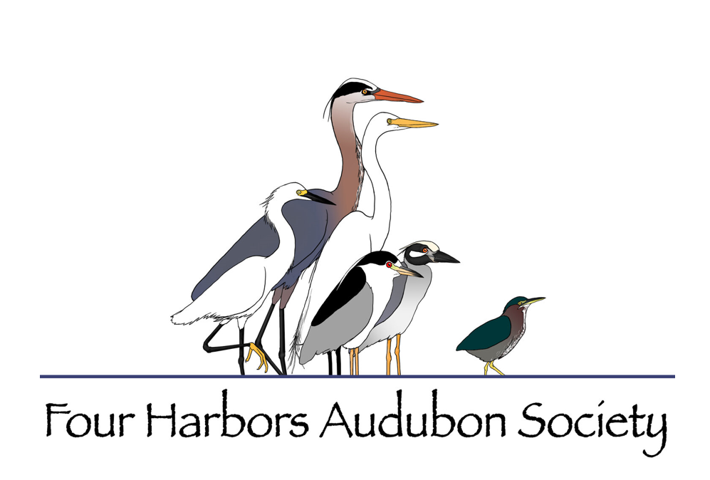four harbors audubon logo