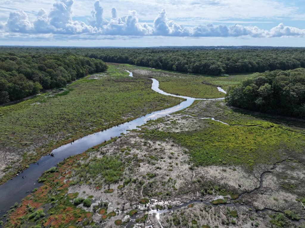 restored nissequogue river