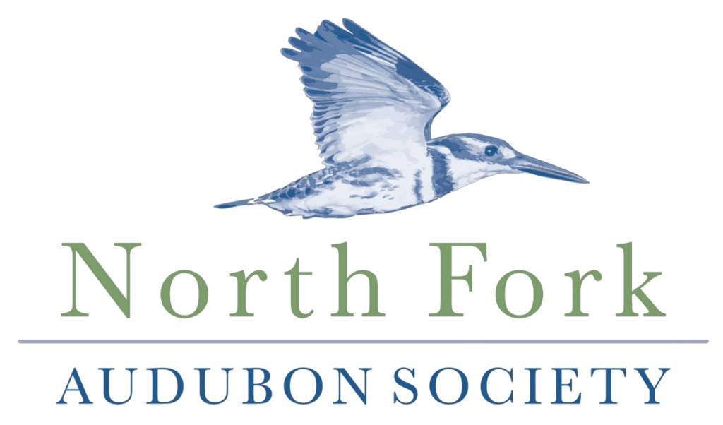 north fork audubon society logo