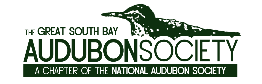 great south bay audubon logo
