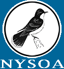 nysoa logo